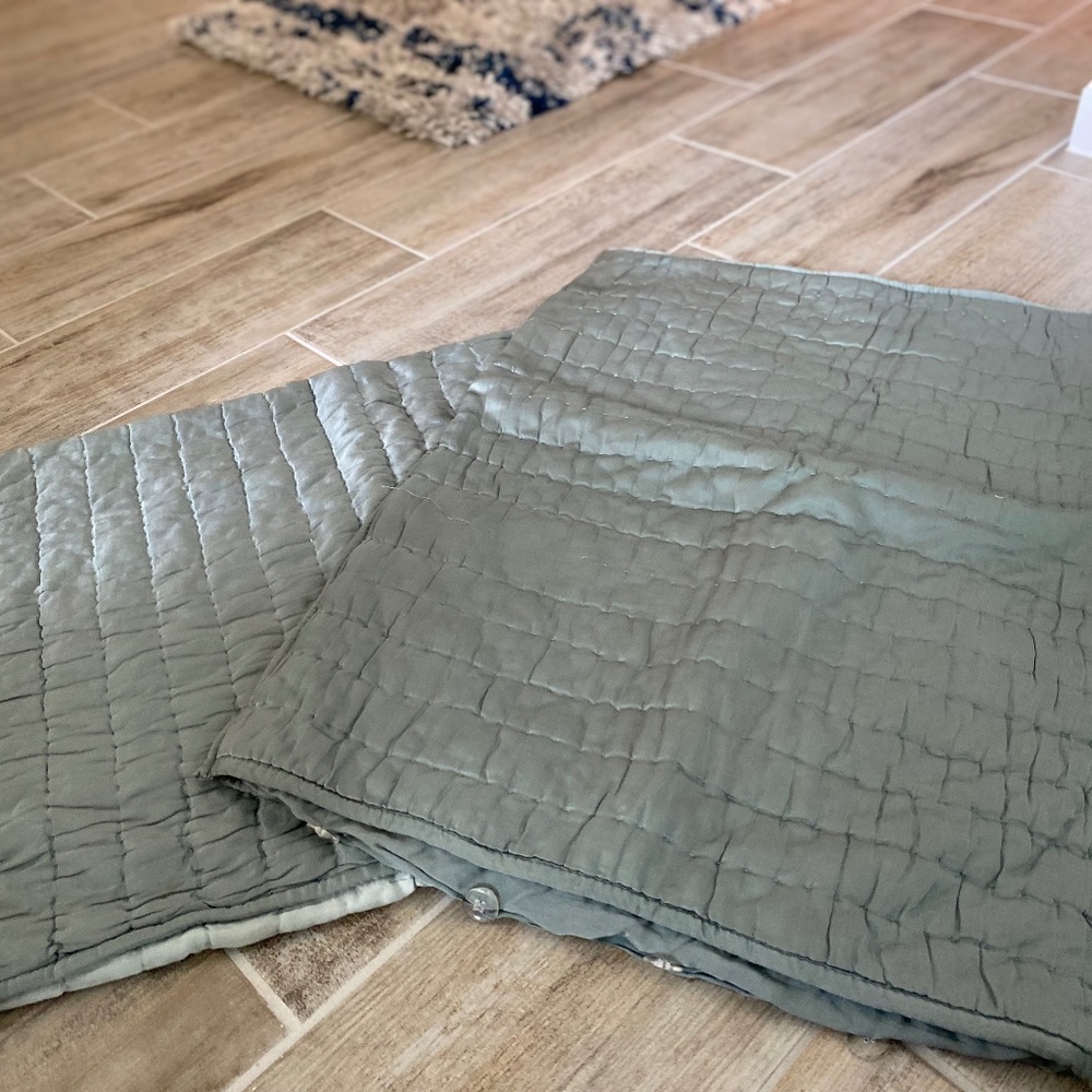 Pottery Barn Silk Pillow Shams - Standard (Set of 2)